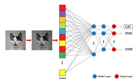 Neural Network Can Recognize Porn Stars Based on Their。